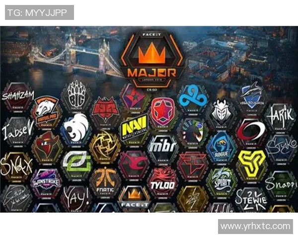 CSGO战队JDG灵活性分析与战术运用探讨